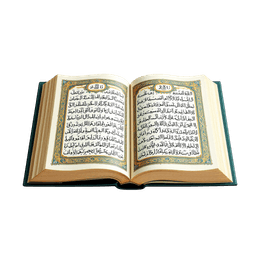 Read the Quran